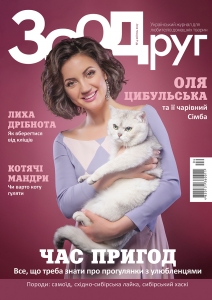 Король кіт Король кіт